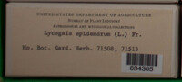 Image Associated With the Occurence